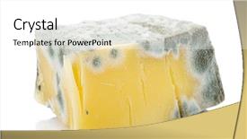  Presentation with cheddar - Beautiful PPT layouts featuring spore - moldy cheddar cheese backdrop and a white colored foreground