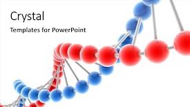  Presentation with dna genetic - PPT layouts featuring african yellow crested cranes wondering through grasslands background and a tawny brown colored foreground