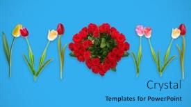  Presentation with blue rose - Presentation theme having mom-word-created-from-tulips background and a teal colored foreground