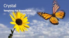  Presentation with monarch butterfly - Cool new PPT theme with monarch butterfly against blue sky backdrop and a ocean colored foreground