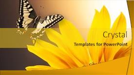  Presentation with monarch butterfly - Beautiful PPT theme featuring monarch-butterfly-on-sunflower-against backdrop and a yellow colored foreground