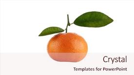  Presentation with pure white - Amazing PPT layouts having mondrian - fresh picked off the tree backdrop and a lemonade colored foreground