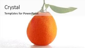  Presentation with fresh ginger root on white - Slides consisting of mondrian - fresh picked tangerine on white background and a white colored foreground