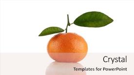  Presentation with 2018 goals text on white - Presentation theme enhanced with businessman taking a private call during working hour background and a soft green colored foreground