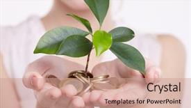  Presentation with sprouting plant - Slide deck consisting of grow money - woman's hands holding plant sprouting background and a coral colored foreground