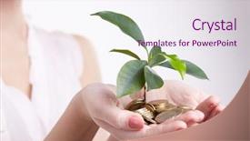  Presentation with sprouting plant - Beautiful theme featuring grow money - woman's hands holding plant sprouting backdrop and a sky blue colored foreground