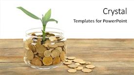  Presentation with sprout - Slides enhanced with money and growing sprout background and a white colored foreground