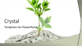  Presentation with money tree - Slides enhanced with money and plant isolated background and a white colored foreground