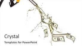  Presentation with animal pets on white - Slide deck featuring money gas - concept of dollar banknotes background and a white colored foreground