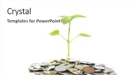  Presentation with monarch butterfly isolated on white - PPT layouts enhanced with money growing - plant in coins isolated background and a white colored foreground