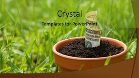  Presentation with growing - PPT theme featuring money growing in flowerpot background and a gold colored foreground