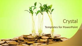  Presentation with seedling - Slide deck with money growth concept with coins background and a soft green colored foreground
