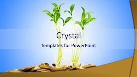  Presentation with seedling - Beautiful presentation featuring money growth concept with coins backdrop and a sky blue colored foreground
