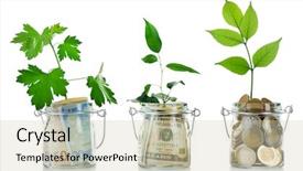  Presentation with plants - Audience pleasing presentation theme consisting of money-in-glass-jars backdrop and a  colored foreground
