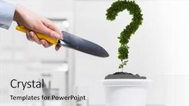  Presentation with plant - PPT layouts consisting of finance wiht question mark - close up of human hand background and a light gray colored foreground