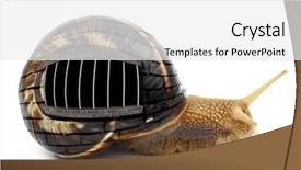  Presentation with prison bars - Slides with money slave - snail with prison bars background and a white colored foreground