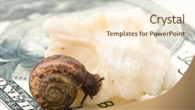  Presentation with sea shell - Slide deck consisting of money slides - garden snail and sea shell background and a cream colored foreground