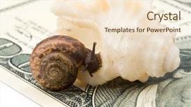  Presentation with sea shell - Colorful PPT theme enhanced with money slides - garden snail and sea shell backdrop and a lemonade colored foreground