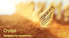  Presentation with money tree - Colorful slides enhanced with money tree - american dollars grow backdrop and a tawny brown colored foreground