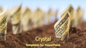  Presentation with money tree - Cool new slide set with money tree - american dollars grow backdrop and a tawny brown colored foreground