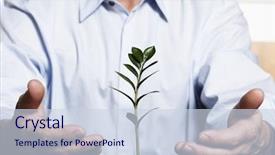  Presentation with blue financial - Theme consisting of money tree - businessman in blue shirt protecting background and a sky blue colored foreground