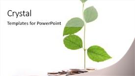  Presentation with money tree - Beautiful PPT theme featuring snellen eye exam chart backdrop and a white colored foreground