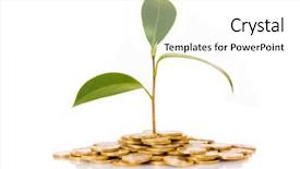  Presentation with money tree - Presentation theme enhanced with money tree - coins and plant isolated background and a white colored foreground