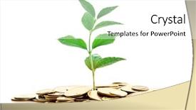  Presentation with money tree - Slide deck consisting of money tree - gold coins and plant isolated background and a white colored foreground