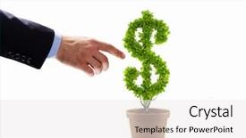  Presentation with hand holding plant - Beautiful PPT layouts featuring money tree - image of human hands holding backdrop and a white colored foreground