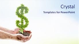  Presentation with money tree - Slide deck having money tree - image of human hands holding background and a sky blue colored foreground