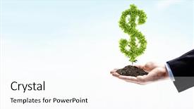  Presentation with hands holding - Beautiful presentation design featuring money tree - image of human hands holding backdrop and a white colored foreground