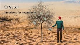  Presentation with money tree - Theme enhanced with money tree - make your income grow mixed background and a coral colored foreground