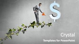  Presentation with make up - Amazing presentation design having money tree - make your income grow backdrop and a gray colored foreground