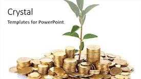  Presentation with growing tree - Amazing slides having money tree - plant growing out of gold backdrop and a white colored foreground