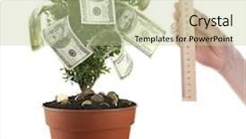  Presentation with money tree - Colorful PPT layouts enhanced with money tree and hand with ruler isolated on white backdrop and a mint green colored foreground