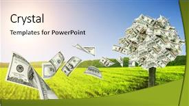  Presentation with growing tree - Presentation theme consisting of money tree growing background and a light blue colored foreground