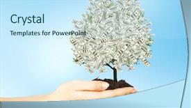  Presentation with money tree - Amazing slides having money tree in female hand backdrop and a sky blue colored foreground