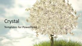  Presentation with money tree - Audience pleasing PPT layouts consisting of money tree on natural background backdrop and a soft green colored foreground