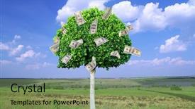  Presentation with money tree - Audience pleasing presentation consisting of money tree on natural background backdrop and a seafoam green colored foreground