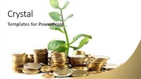  Presentation with sprout - Cool new slide set with money with growing sprout isolated backdrop and a white colored foreground