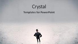  Presentation with elegant - Slides enhanced with moneywise wise - adult elegant businessman standing background and a  colored foreground