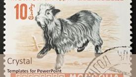  Presentation with mongolia - 