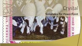  Presentation with mongolia - 