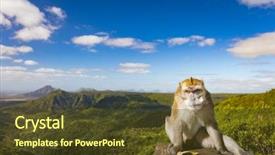  Presentation with monkey - PPT theme having monkey at the gorges viewpoint background and a tawny brown colored foreground
