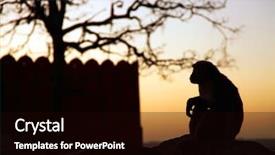  Presentation with india temple - Colorful slide set enhanced with monkey temple galwar bagh backdrop and a black colored foreground