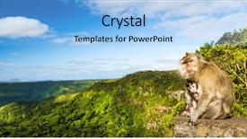  Presentation with funky black and redstudy - Audience pleasing presentation design consisting of monkeys at the gorges viewpoint backdrop and a light blue colored foreground