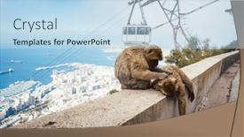  Presentation with gibraltar - Cool new theme with monkeys-on-the-gibraltar-rock backdrop and a sky blue colored foreground