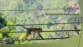  Presentation with wires - 