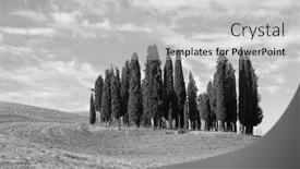  Presentation with tuscany - Slide deck with monochrome-landscape-of-field background and a light gray colored foreground