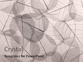 Monochrome Skeleton Leaves Background Patterh PPT template 37 ...